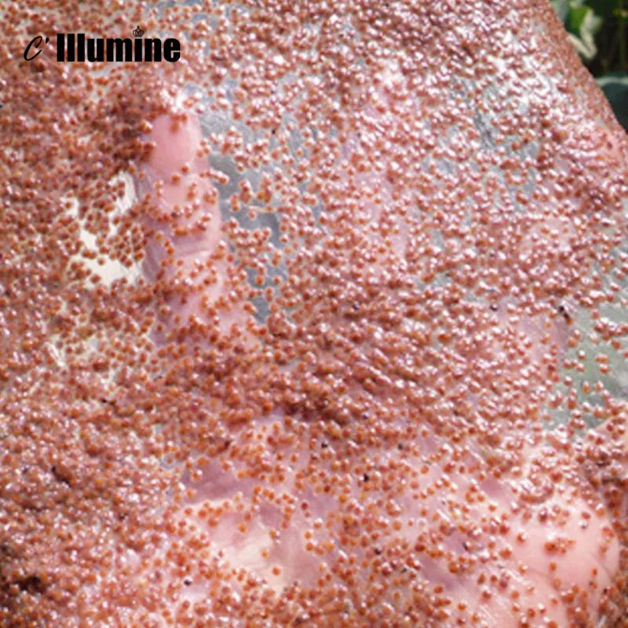 Pack 25g*5 Seaweed Alga Facial Mask Moisturizing Brigthening Smooth Tender Acne Spots Remove Beauty Salon