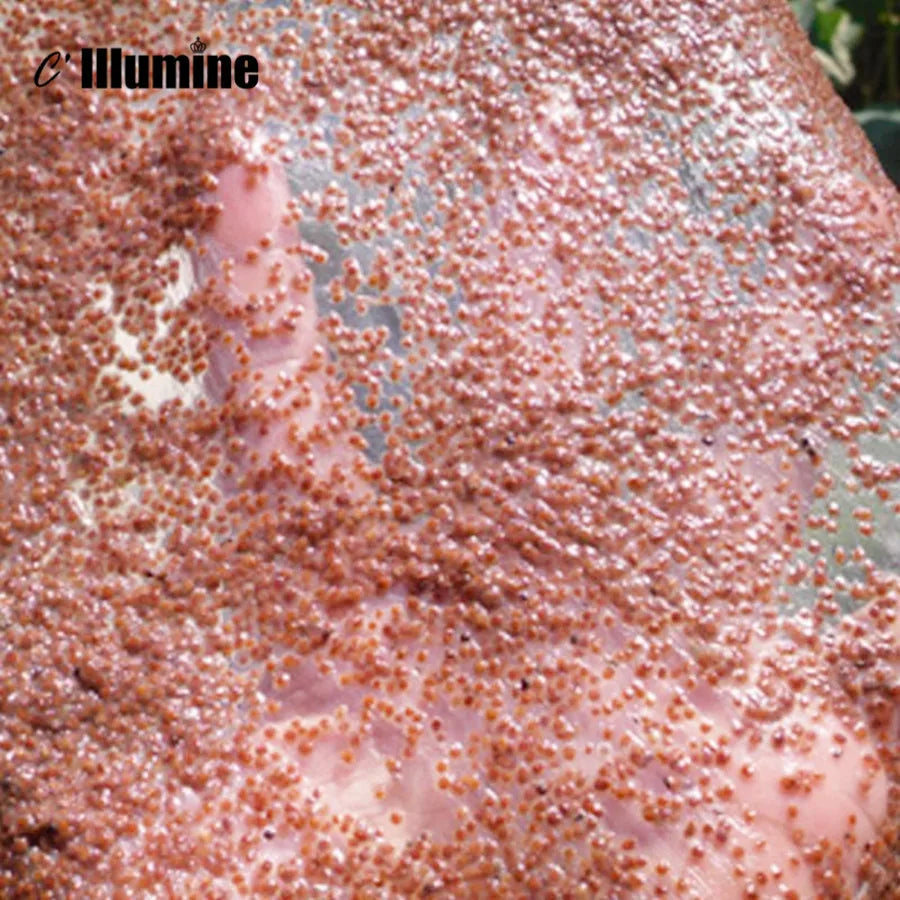 Pack 25g*5 Seaweed Alga Facial Mask Moisturizing Brigthening Smooth Tender Acne Spots Remove Beauty Salon