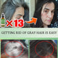 Gray Hair Treatment Essence Oil Serum White to Black Natural Color Repair Nourishing Products Anti-Hair Loss Care For Men Women