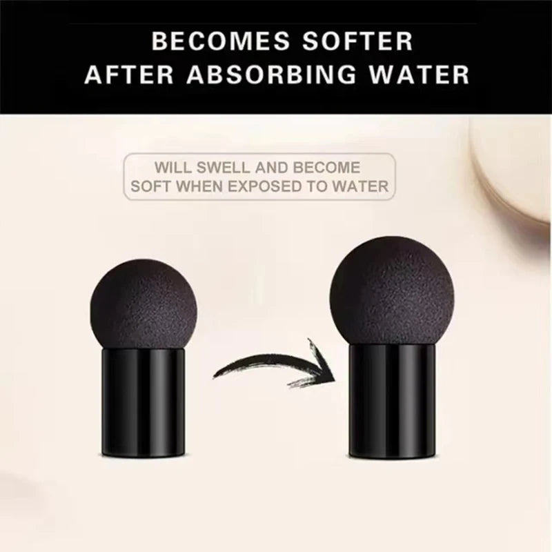 Mushroom Head Air Cushion CC Cream